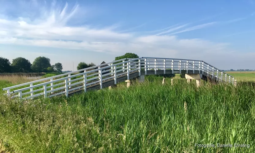 Molenwandeling deels door de Mijzerpolder