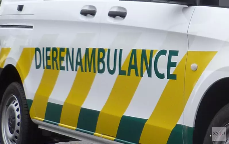 Dierenambulance West-Friesland stopt toch niet met rijden