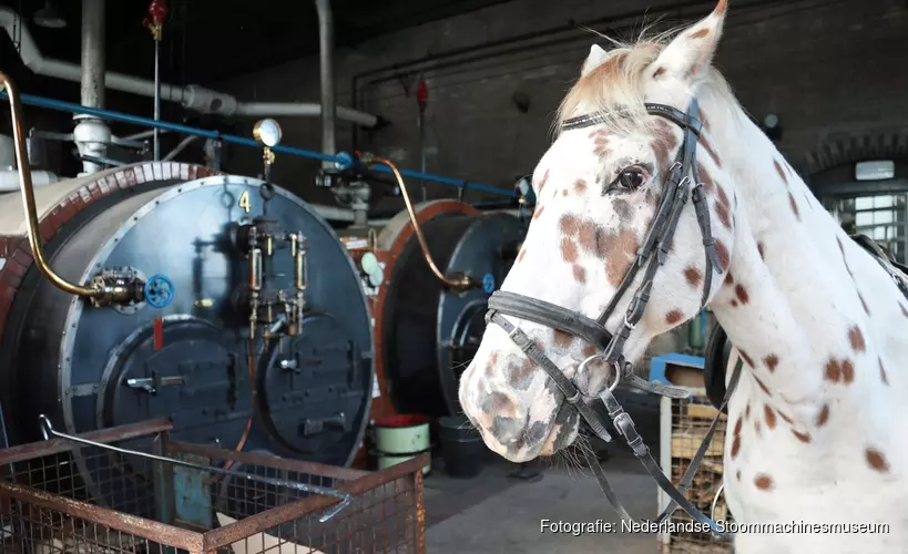 Gratis kinderactiviteiten tijdens herfstvakantie in Stoommachinemuseum