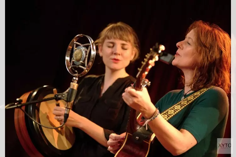 Prachtige folkmuziek in De Brink op 13 januari a.s.