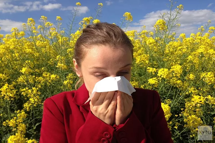 Pollenklachten verwacht door droog weer