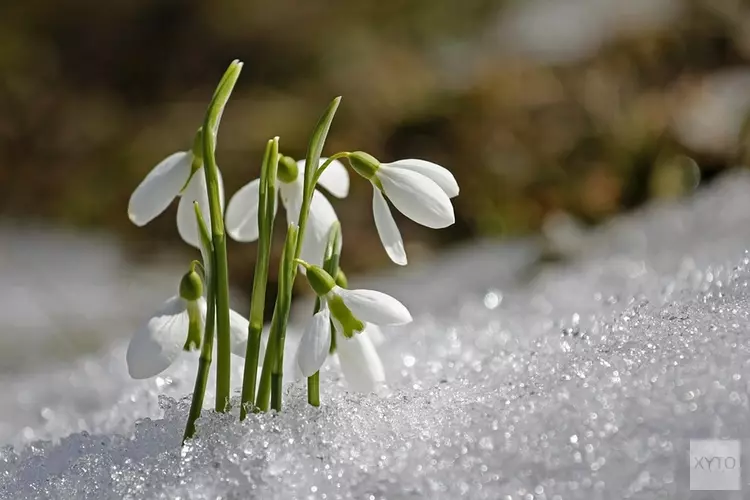 Dit weekend kan het gaan sneeuwen, maar donderdag wordt het twintig graden