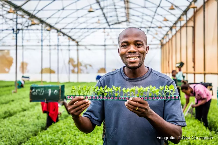 Dekker Chrysanten haalt Tanzaniaanse medewerkers naar Nederland voor vijfdaags werkbezoek