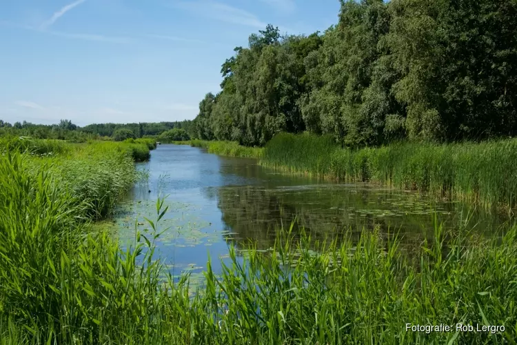 Pinkstermiddag bij boerderij Schapenstreek