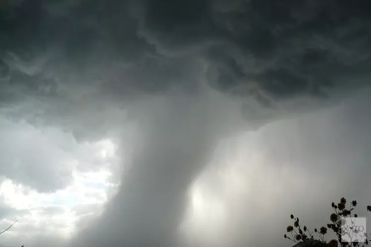 Vermoedelijke windhoos houdt huis in Hem: boom omgewaaid en kas beschadigd