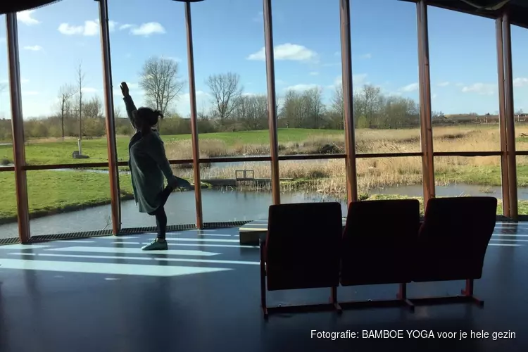 Zondag-yoga met uitzicht op het groen van natuurpark Blokweer, Blokker -met bamboeyoga