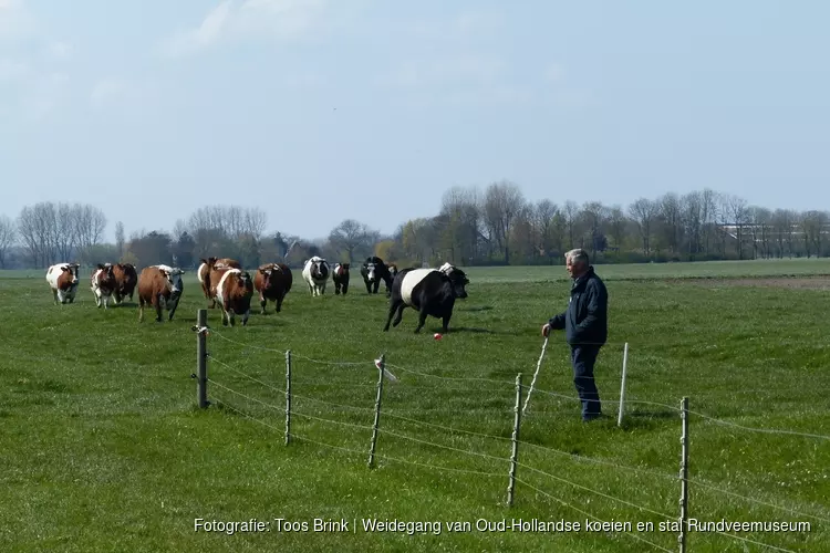 Rundveemuseum Aad Gootes Levend erfgoed