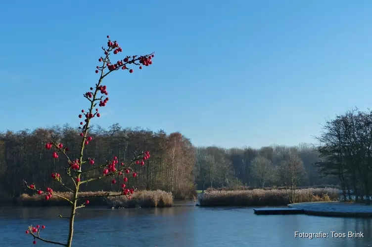 Winterwandelen met IVN