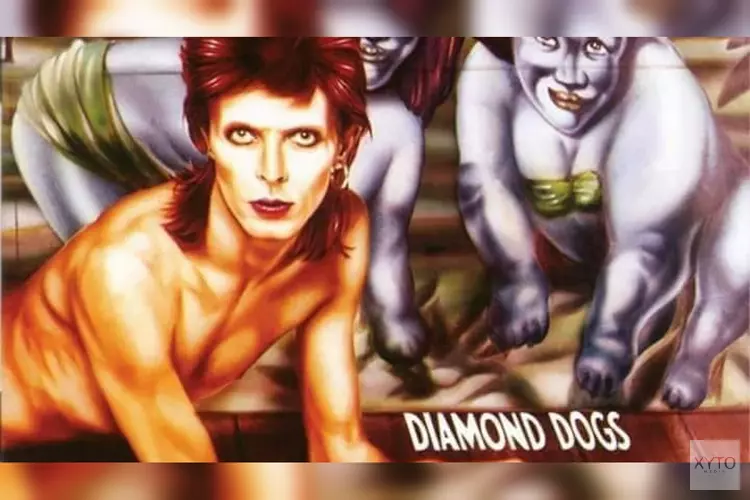 Diamonds Dogs - Eerbetoon aan David Bowie