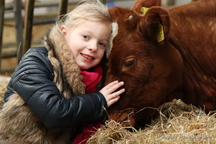 Kinderspecial op Dierendag in het Rundveemuseum in Aartswoud