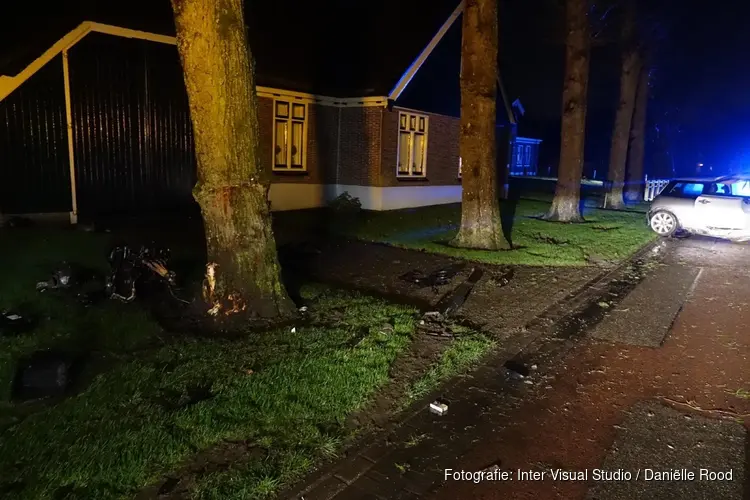 Bestuurder met drank en drugs tegen boom