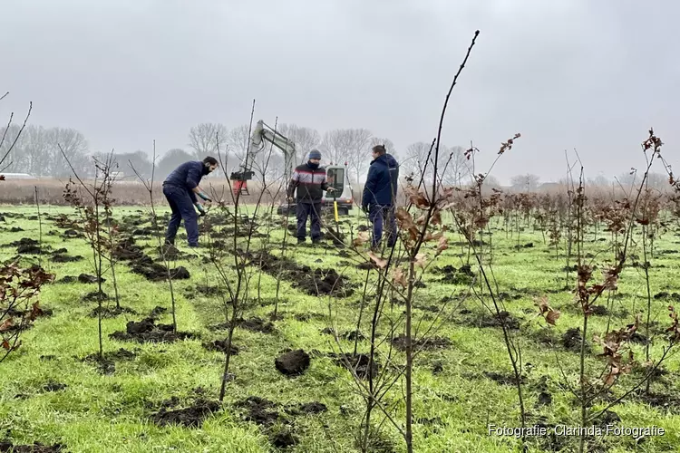 Boomplantdag Groote Vliet voor omwonenden en geinteresseerden