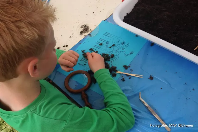 Doe-middag Uilenballen pluizen