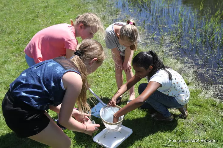 Zomerse wateractiviteiten