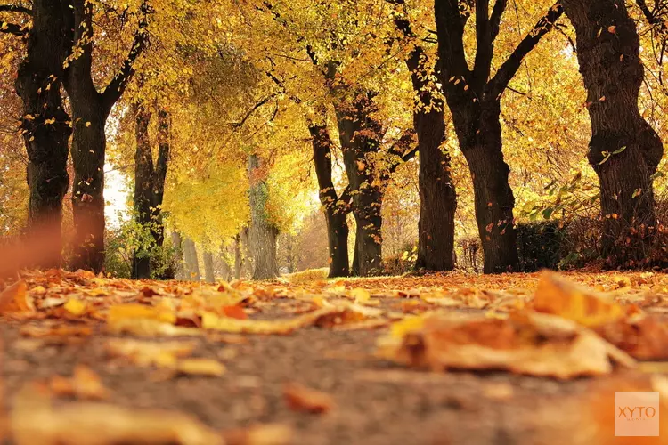 Laatste week van oktober begint met buien, maar eindigt zonnig en warm