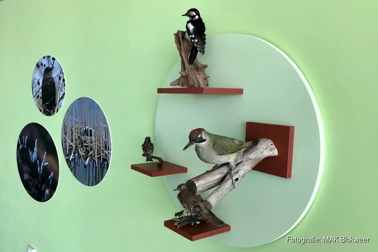 De kunst van taxidermie