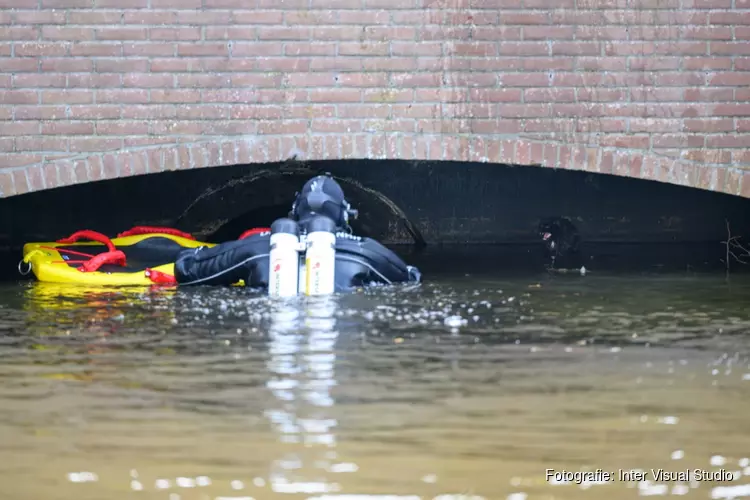 Kat vast onder brug gered door brandweer Hoorn