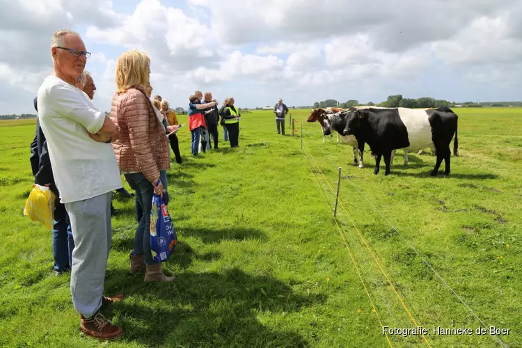 Pratende koeien leren verstaan in het Rundveemuseum op 21 mei