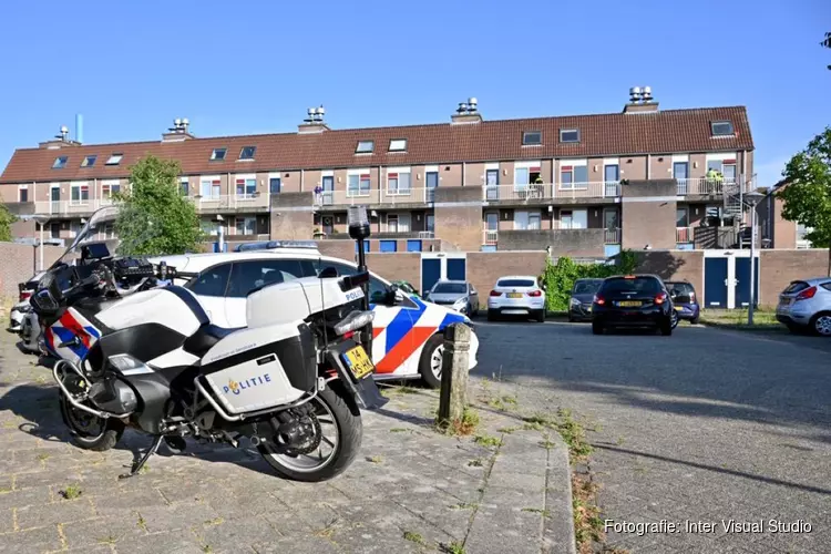 Katten in beslag genomen in Hoorn