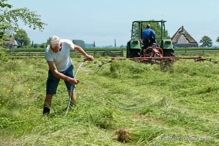 Historisch maaien op 9 juli achter het Rundveemuseum in Aartswoud