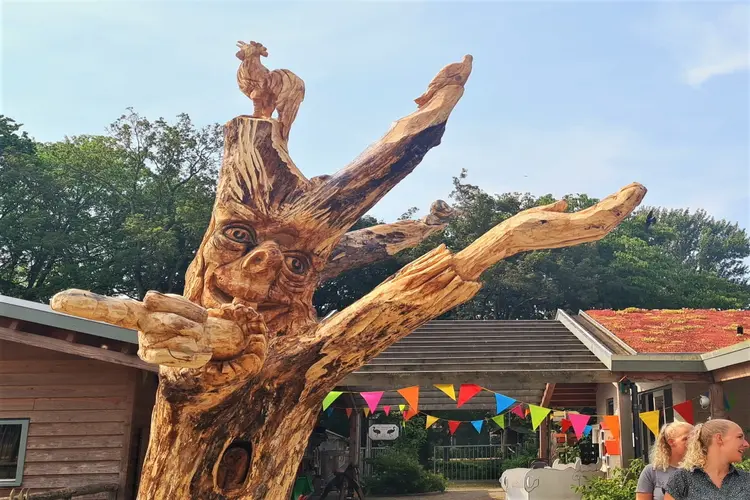 Zomer in het Hertenkamp Enkhuizen