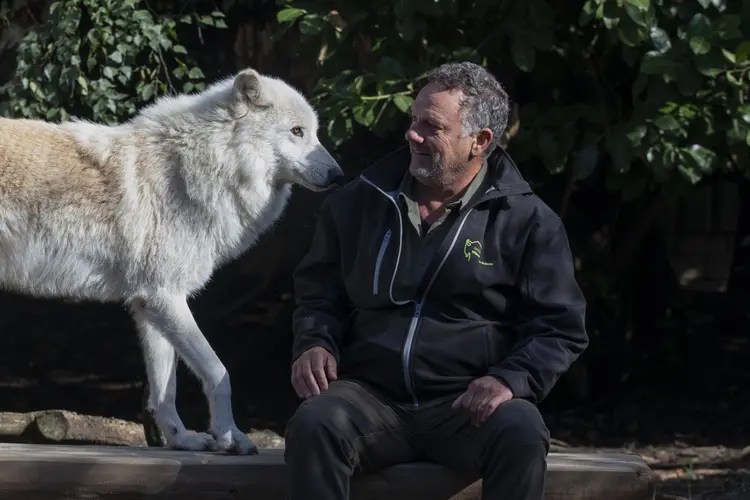 Lezing ‘De Wolf in Nederland’ in Oorlogsmuseum Medemblik