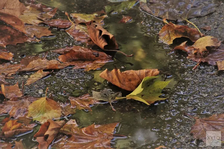 Temperatuur doet flinke stap terug