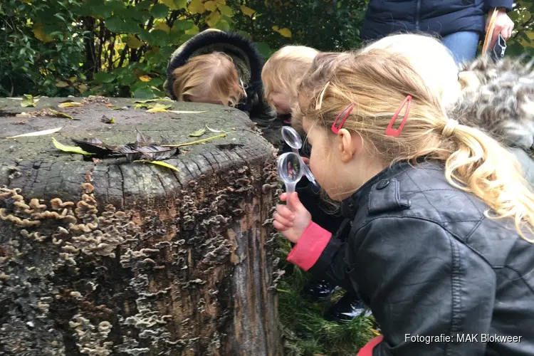 Herfstnatuur beleven bij MAK Blokweer