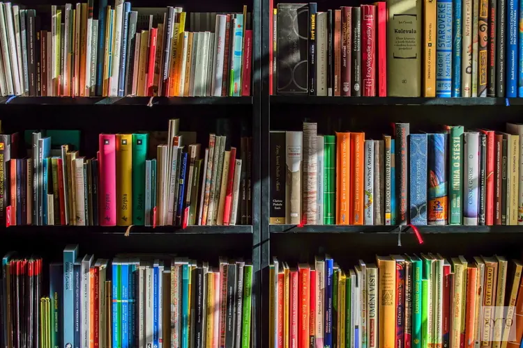 Bruggen slaan in de Bibliotheek