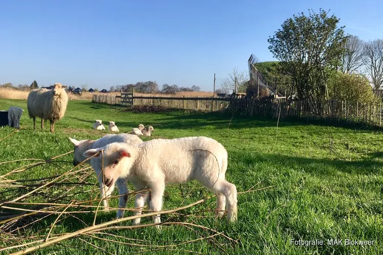 Activiteiten voor kinderen in de meivakantie bij MAK Blokweer