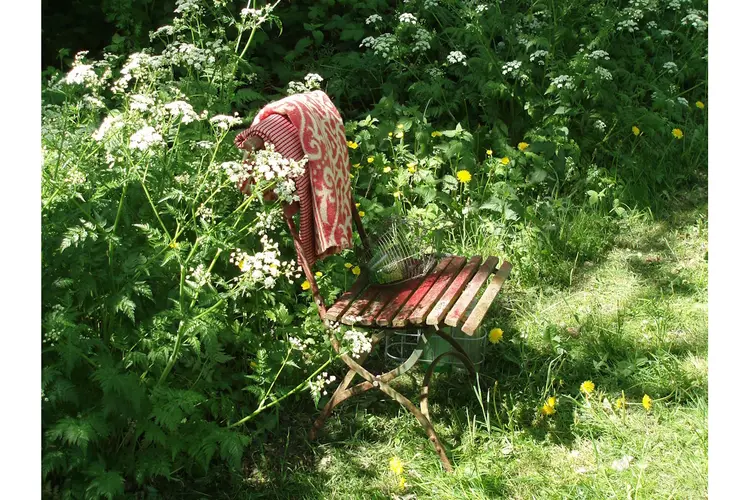 Open tuin, plantjesverkoop en brocante aan Koningspade in Hoogwoud op 4 en 5 mei