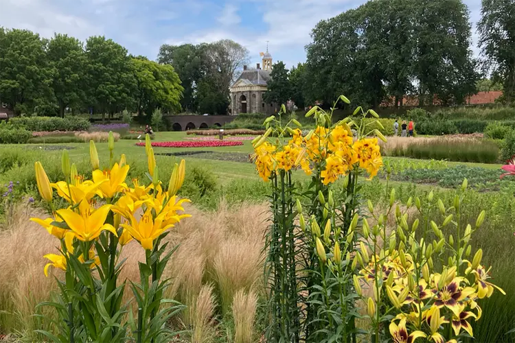 Proeverij van eigen oogst in de Garden op 13 juli