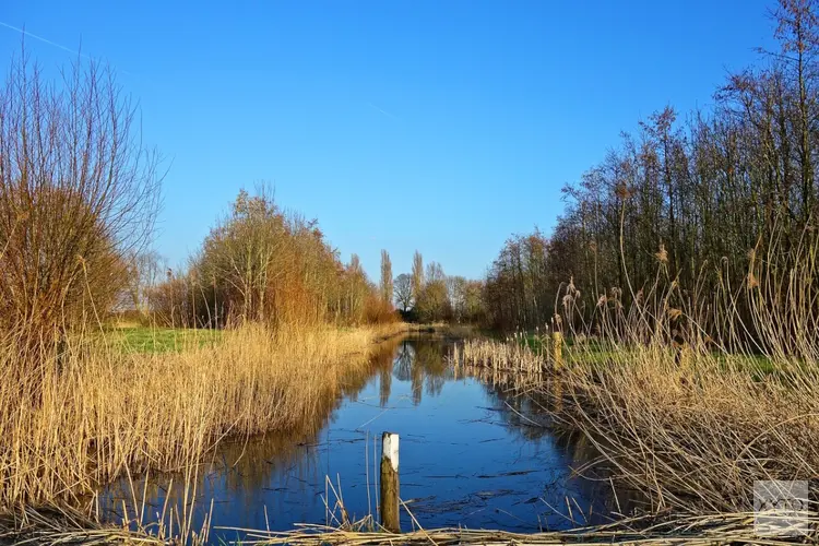 Provincie: uitvoering plannen landelijk gebied onzeker