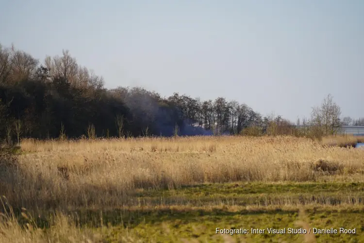 Meerdere buitenbrandjes in Lutjebroek